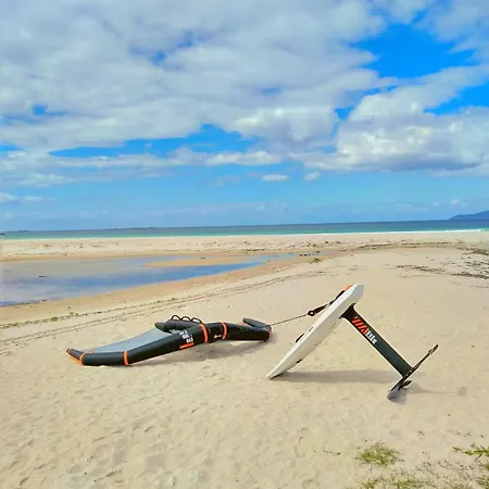 Area Surf House Hostel