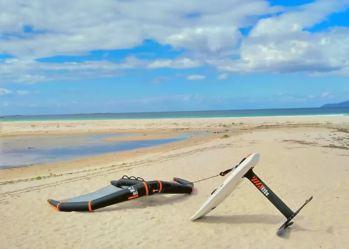 Area Surf House Hostel