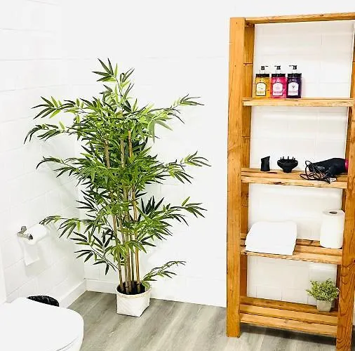 Area Surf House Muros