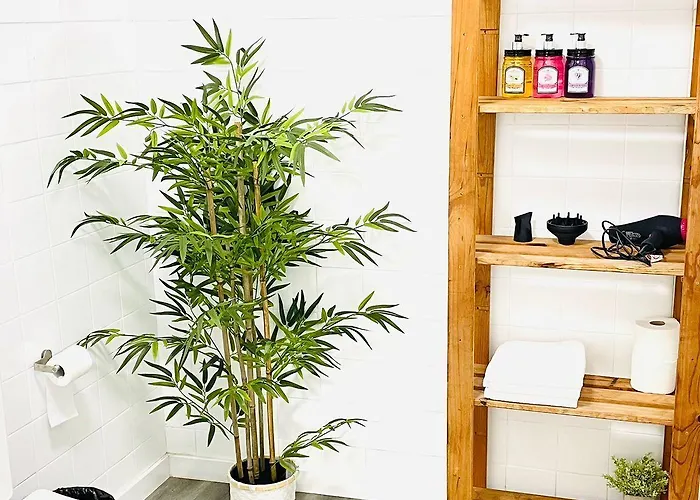 Area Surf House * Muros